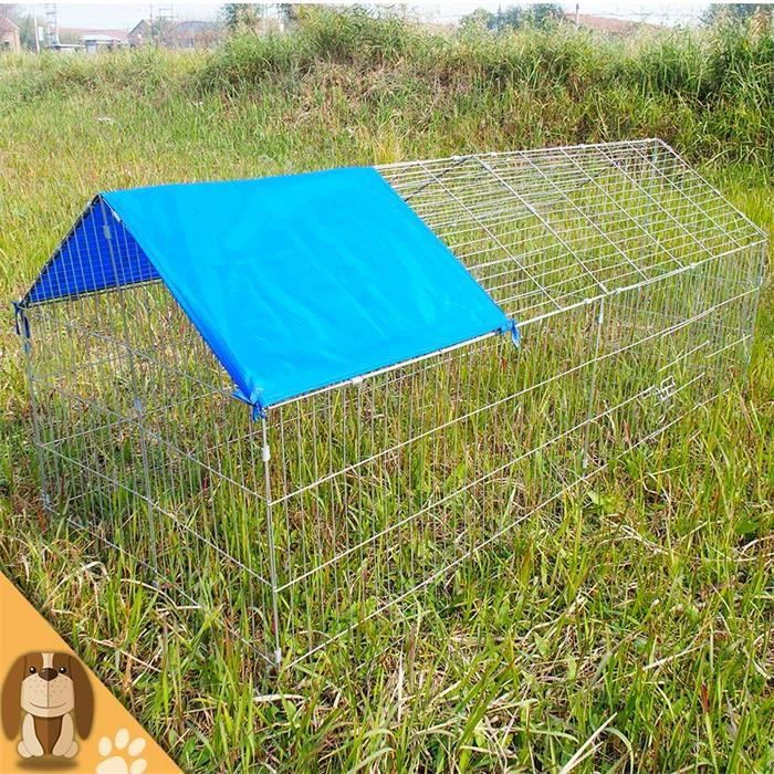 Cheap Chicken Coop Pollitos