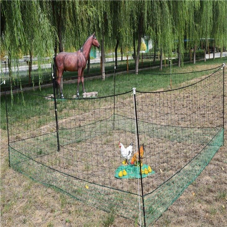 Chicken Liver Netting