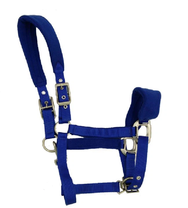 Horse Halters Horse Halters For Sale