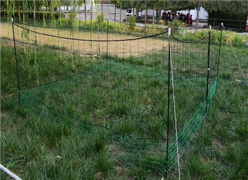 Honde plastik parranda to'rining panjarasi