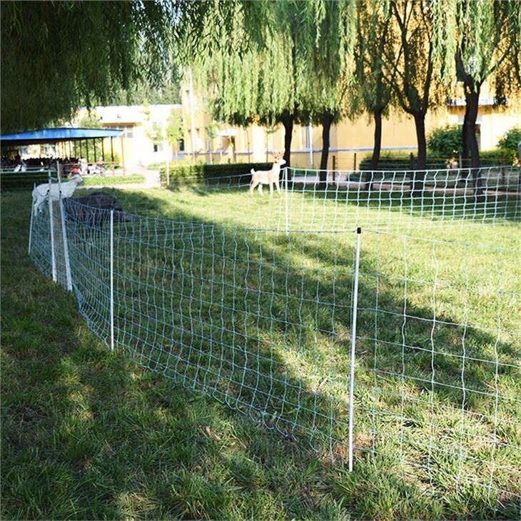 Electric Fence Sheep Netting With Single Posts