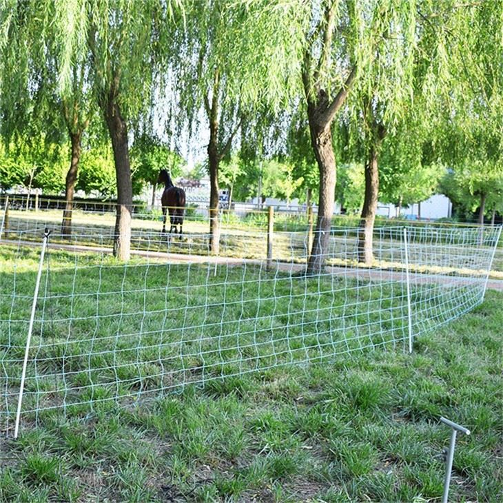 Electric Fence Sheep Netting With Single Posts