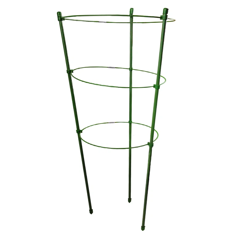 Plants Tomatoes Support Cages